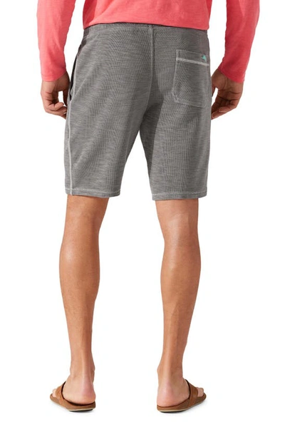 Shop Tommy Bahama Tobago Tie Waist Knit Shorts In Cave