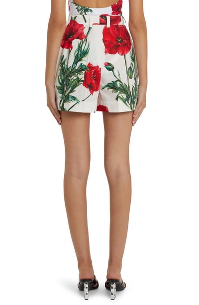 Shop Dolce & Gabbana Poppy Print Cotton Poplin Shorts In Natural White