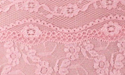 Shop B.tempt'd By Wacoal Lace Kiss High Cut Panties In Sea Pink
