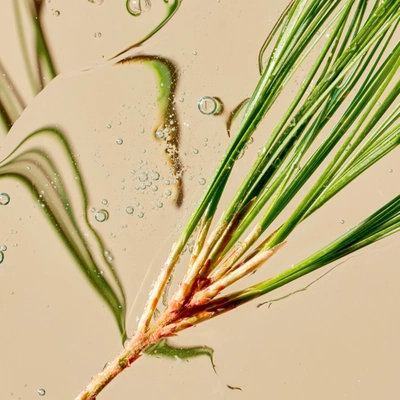 Tata Harper Superkind Refining Cleanser 120ml In Default Title