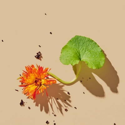 Tata Harper Superkind Refining Cleanser 120ml In Default Title