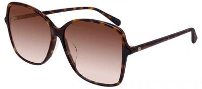 Shop Gucci Gg0546sk 002 Butterfly Sunglasses In Brown