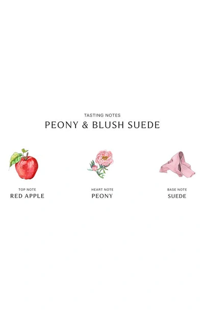 Shop Jo Malone London Peony & Blush Suede Scent Surround™ Diffuser