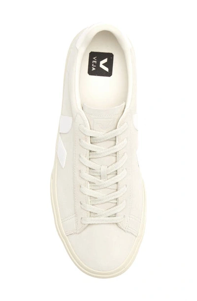 Shop Veja Campo Sneaker In White