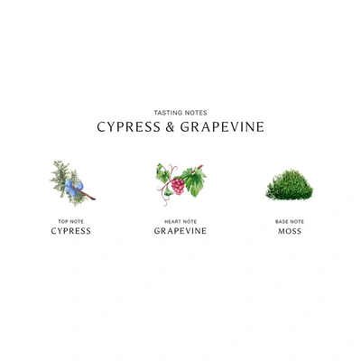 Jo Malone London Cypress And Grapevine Cologne Intense In 100 ml