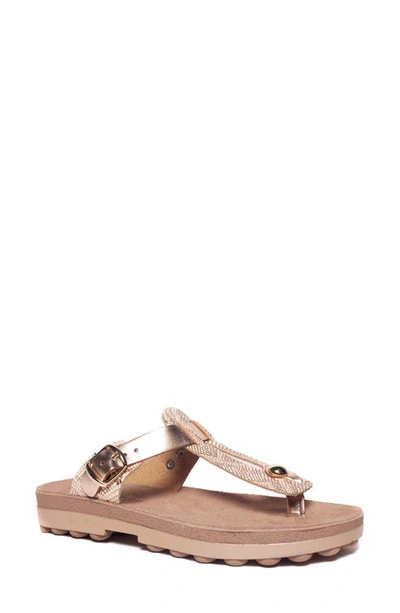 Fantasy Sandals Mirabella T strap Sandal In Rose Gold Lizard