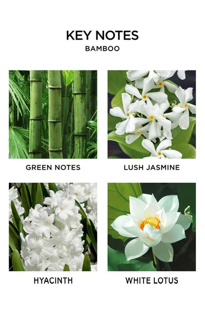 Nest New York Bamboo Scented Candle