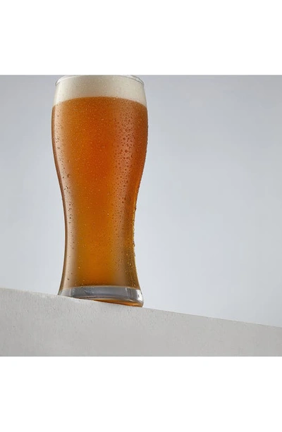 Joyjolt Callen Pilsner Beer Glass In Clear