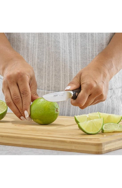 Joyjolt Stainless Steel Utility Knife & Paring Knife 2-piece Set In Silver/ Black