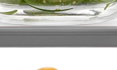 Joyjolt Set Of 4 Thick Glass Mixing Bowls With Airtight Lids In Grey