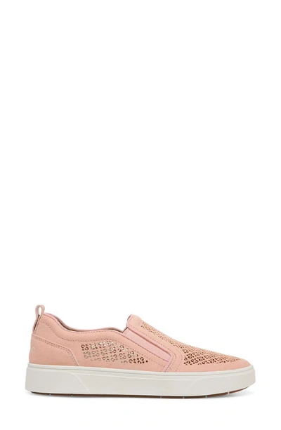 Shop Vionic Kimmie Perforated Suede Slip-on Sneaker In Roze