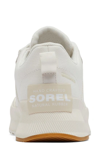 Shop Sorel Out N About Waterproof Low Top Sneaker In Sea Salt/ Chalk