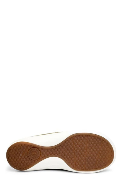 Revitalign Siesta Orthotic Canvas Slip-on Shoe In Olive