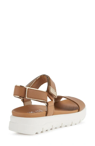 Shop Geox Xand Sandal In Camel/ Light Gold