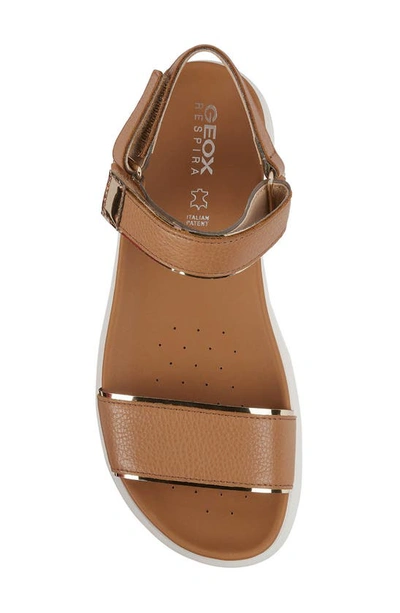 Shop Geox Xand Sandal In Camel/ Light Gold