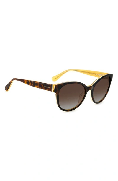 Shop Kate Spade Nathalie 55mm Gradient Round Sunglasses In Havana/ Brown Polar