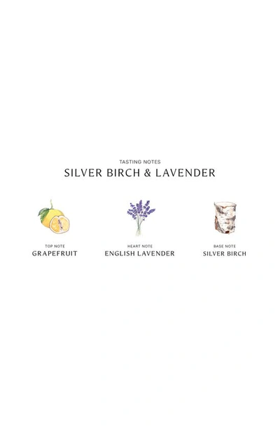 Jo Malone London Silver Birch & Lavender Cologne 3.4 Oz.