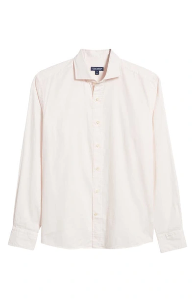 Shop Peter Millar Crown Crafted Sojourn Garment Dye Button-up Shirt In Misty Rose