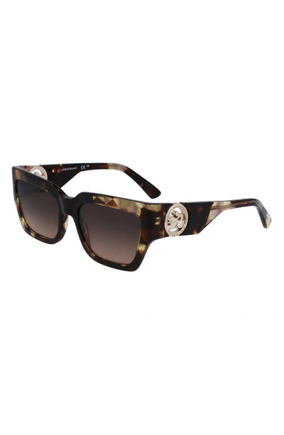 Longchamp 55mm Rectangular Sunglasses In Green Havana