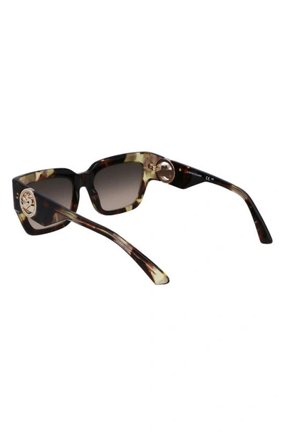 Longchamp 55mm Rectangular Sunglasses In Green Havana