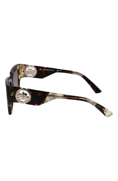 Longchamp 55mm Rectangular Sunglasses In Green Havana