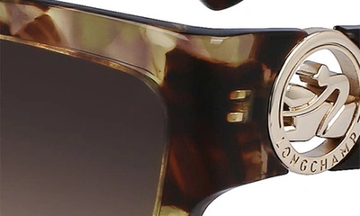 Longchamp 55mm Rectangular Sunglasses In Green Havana