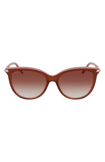 Shop Longchamp Tea Cup 54mm Sunglasses In Brown/ Rose