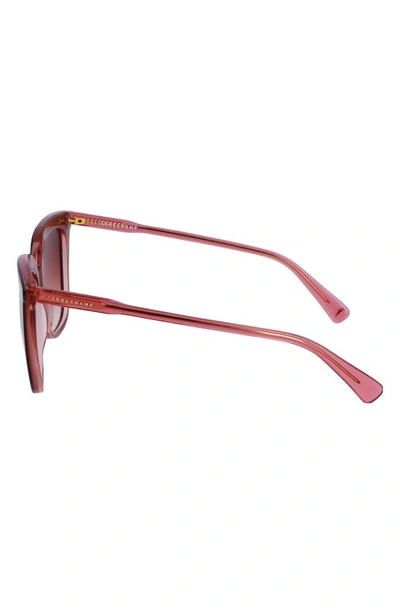 Shop Longchamp 53mm Rectangular Sunglasses In Brown/ Rose