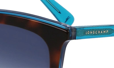 Shop Longchamp 53mm Rectangular Sunglasses In Havana/ Azure