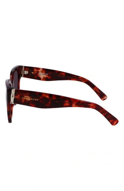 Shop Longchamp 55mm Rectangular Sunglasses In Red Havana