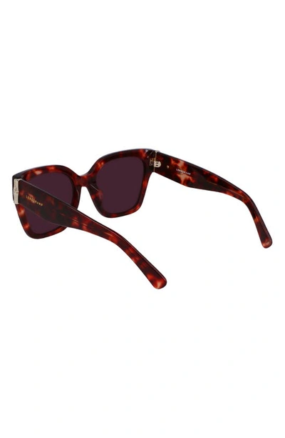 Longchamp 55mm Rectangular Sunglasses In Red Havana