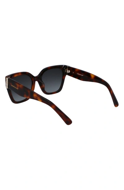Shop Longchamp 55mm Rectangular Sunglasses In Havana