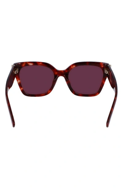 Longchamp 55mm Rectangular Sunglasses In Red Havana