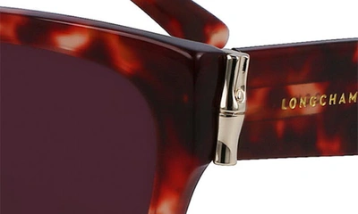 Longchamp 55mm Rectangular Sunglasses In Red Havana