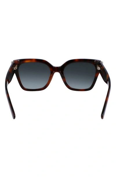 Shop Longchamp 55mm Rectangular Sunglasses In Havana