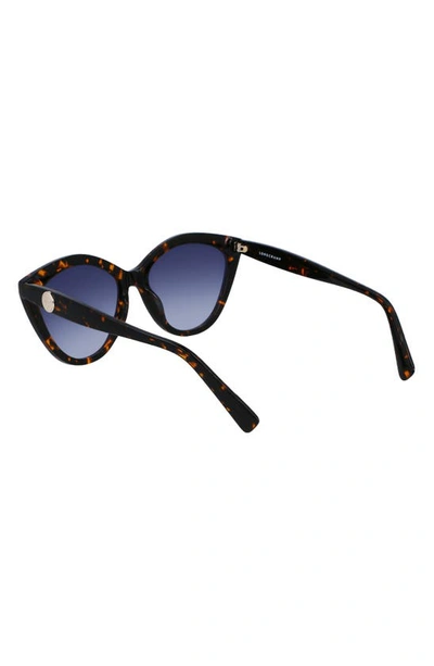 Longchamp 56mm Cat Eye Sunglasses In Dark Havana