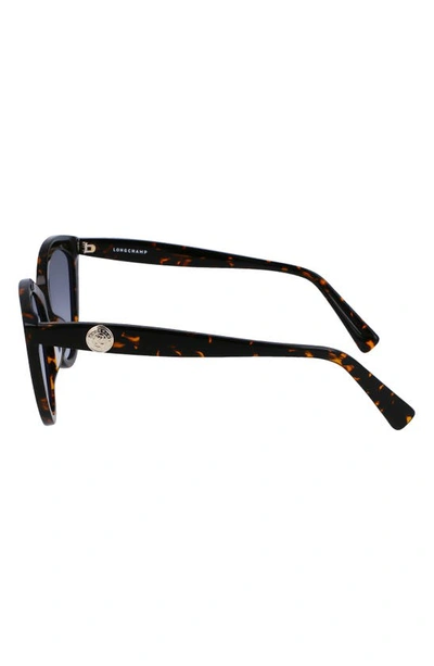 Longchamp 56mm Cat Eye Sunglasses In Dark Havana
