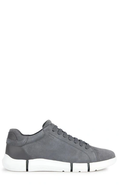 Shop Geox Adacter Sneaker In Dark Stone