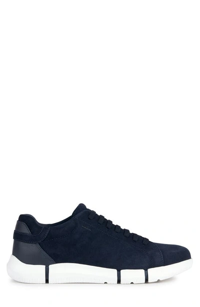 Shop Geox Adacter Sneaker In Navy