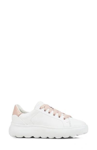 Shop Geox Spherica Sneaker In White/ Nude