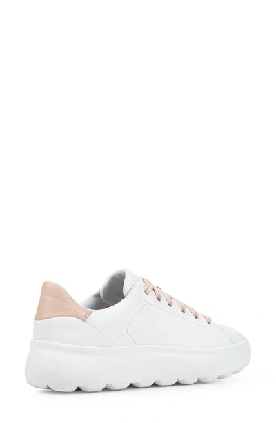 Shop Geox Spherica Sneaker In White/ Nude