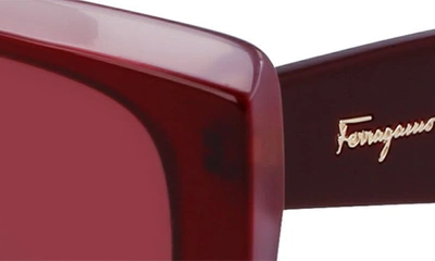Shop Ferragamo 54mm Rectangular Sunglasses In Burgundy/ Rose