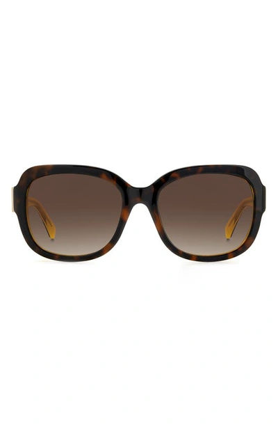 Shop Kate Spade Laynes 55mm Gradient Sunglasses In Havana Yellow/ Brown
