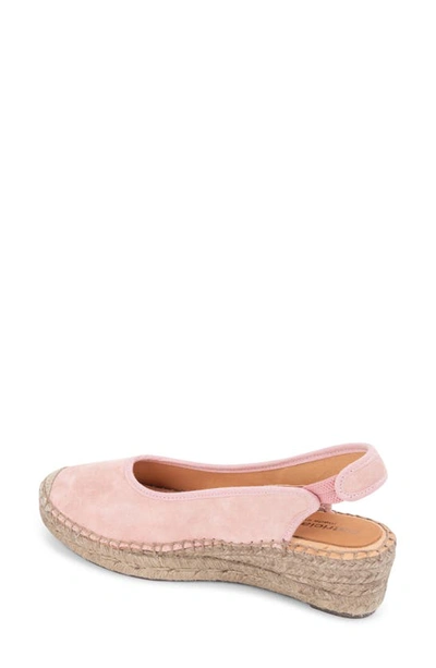 Shop Patricia Green Valencia Slingback Wedge Espadrille In Blush Pink