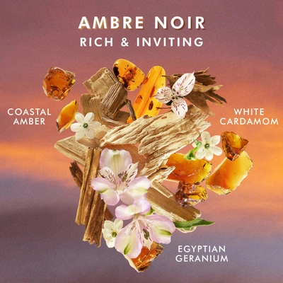 Shop Moroccanoil Shower Gel In Ambre Noir - Coastal Amber, Egyptian Geranium, White Cardamom