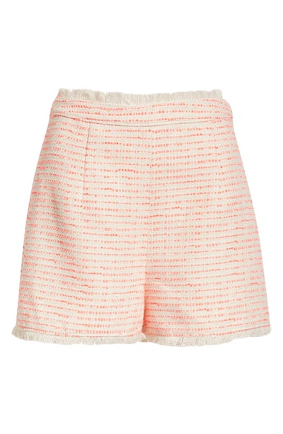 Shop Cinq À Sept Coronado High Waist Tweed Shorts In Ivory/ Neon Coral