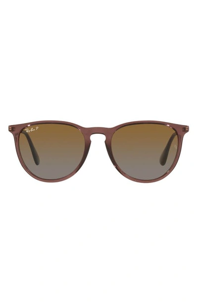 Shop Ray Ban Erika Classic 54mm Sunglasses In Transparent Brown