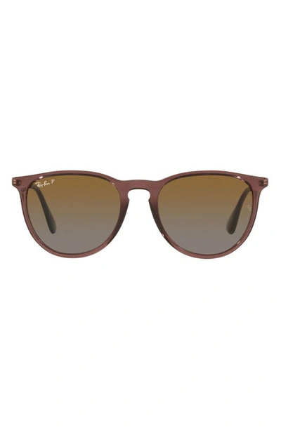 Ray Ban Erika Classic 54mm Sunglasses In Transparent Brown