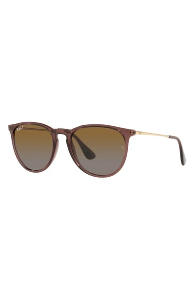 Shop Ray Ban Erika Classic 54mm Sunglasses In Transparent Brown