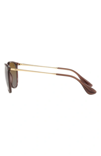 Shop Ray Ban Erika Classic 54mm Sunglasses In Transparent Brown